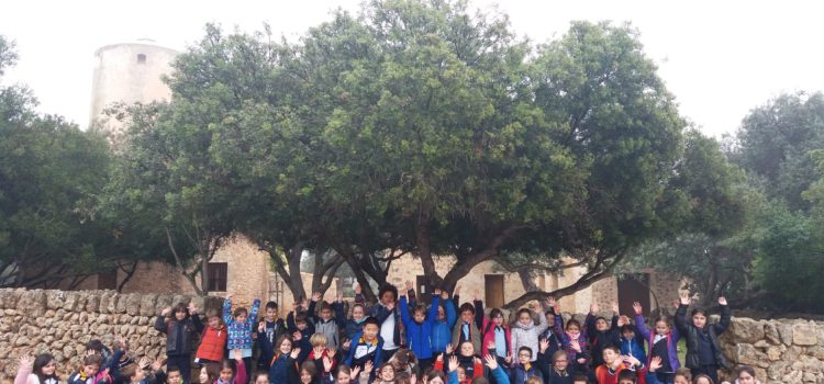 Primer i segon de primària visita la “Fira del Fang” Primer i segon de primària visita la “Fira del Fang”