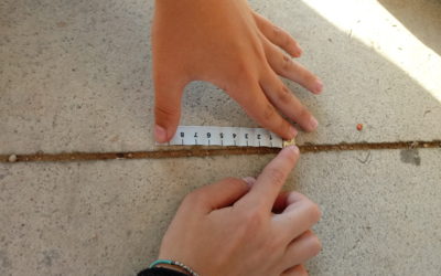 Jugant amb les matemàtiques