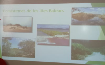 EcoSistemes a 5è EP