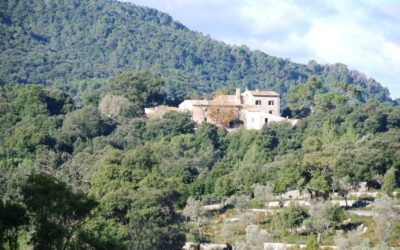 HEM COMENÇAT L’AVENTURA