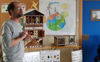 Biodiversitat a La Salle