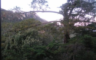 BON DIA DES DE SON AMER