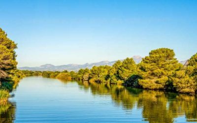 VISITAM L’ALBUFERA!!!