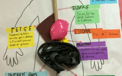 «Las funciones vitales» por los alumnos de 4º