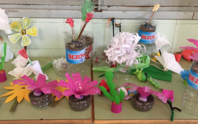 «Les plantes» pels alumnes de 4t de Primària