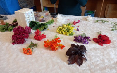 LABORATORI DE PIGMENTS NATURALS A 6è