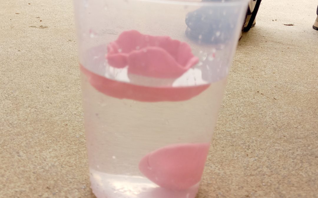 A 6è…gaudim de la Ciència…experimentam la FLOTABILITAT!